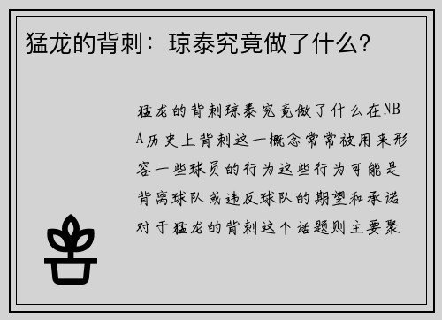 猛龙的背刺：琼泰究竟做了什么？
